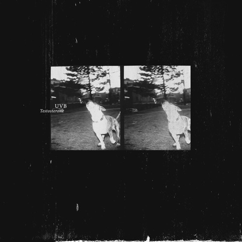 UVB - Testosterone (BTLP01) Previews