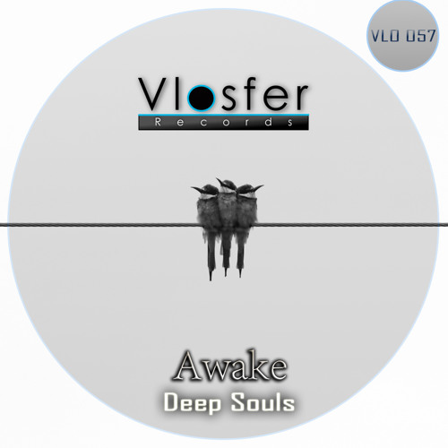 Reveuse-Deep Souls[Vlosfer Records]