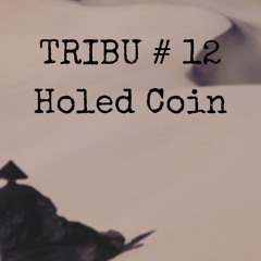 TRIBU #12 Holed Coin