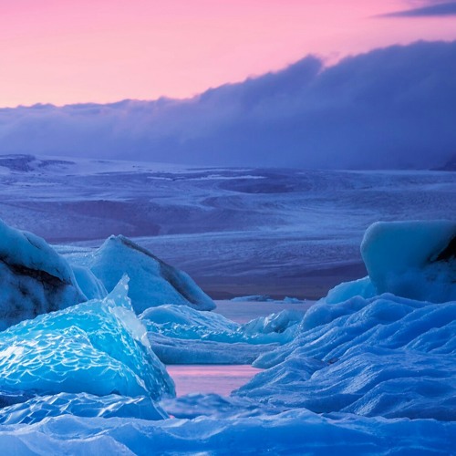 أهل الحديث محمد المقيط 2018