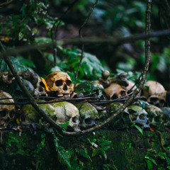 Dark Tourism - Reisen an Orte mit dunkler Geschichte