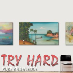 Try Hard (Prod. Illuid Haller)