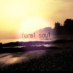 Feral Soul