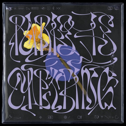 018 - Reckonwrong: Paris Is Melting / 14 Days / Half a Pill / I'm a Spoon