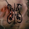 Test Tube Baby Mp3