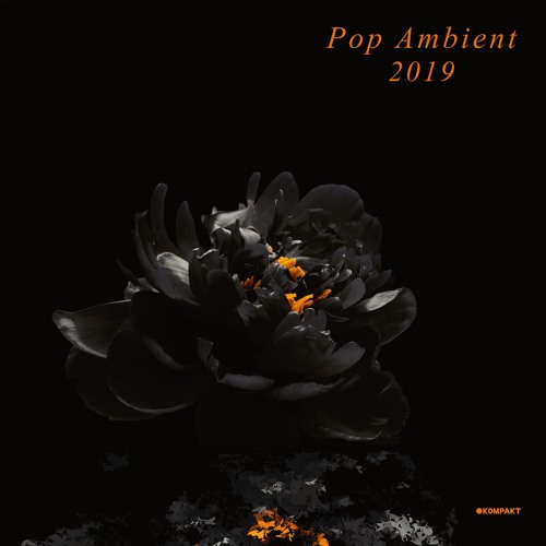Gregor Schwellenbach - Rot 2