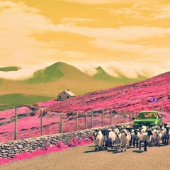 fofi ~ grey monday but smile :)