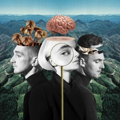 Clean Bandit - Out at Night feat. KYLE & Big Boi (1no1 Remix)