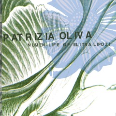 Extract from Numen_Life of Elitra Lipozi