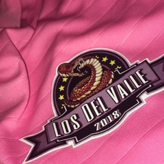 El Morita Y Los Del Wash- El Corrido Del Junior (LOSDELVALLEOFFICIAL)