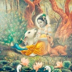 Song Of Devotion (live) by Marcus Roch w/ Awaken Love Music