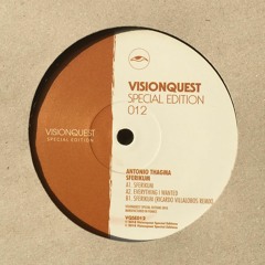 Everything I Wanted - VQSE 012 vinylonly [cut]