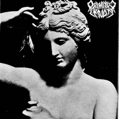 PRIMITIVE KNOT: Lust Hammer