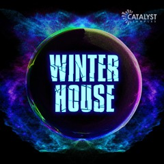 Winter House (Demo)