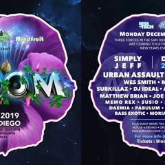BLOOM NYE 2018 DJs