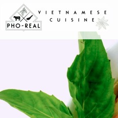 04 Mailman Saga Pt. 1