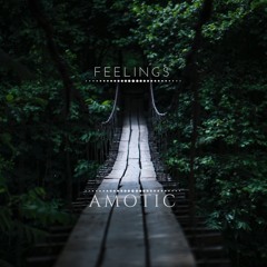 Feelings - Amotic