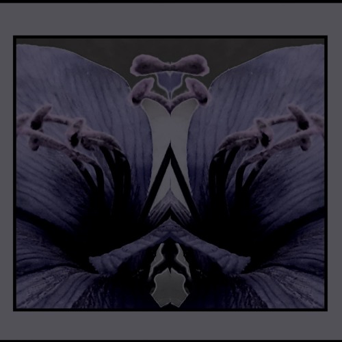 Zarathustra's Fall