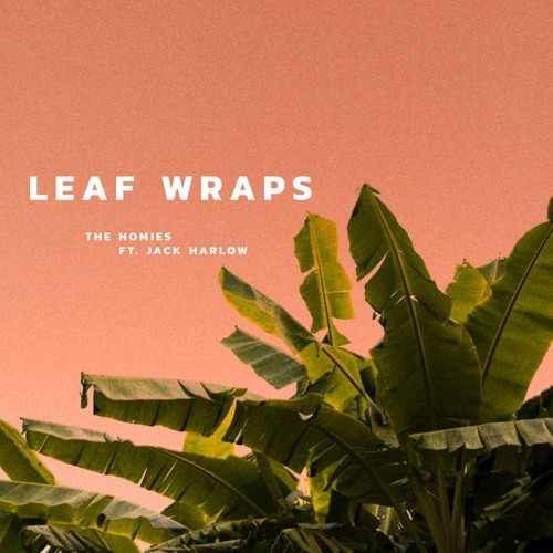 Leaf Wraps ft. Jack Harlow