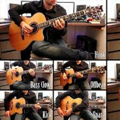 Kraftwerk - The Robots (Acoustic Guitar Cover By Oliver Dolgener)