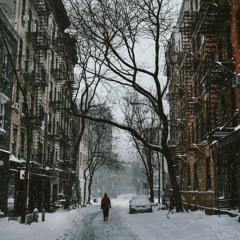 quiet walks on a snowy street