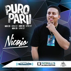 Pitbull Globalization PURO PARI! Guest Mix 2018 (Clean)