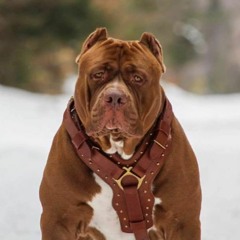 THA TAKE OVER PART 2 MIXTAPE(MIXED BY DJ VAKS)