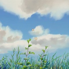 meadow