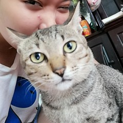 Em Không Thể - Lingg