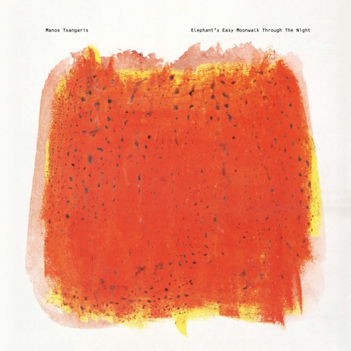 A Elephant's Easy Moonwalk Through The Night