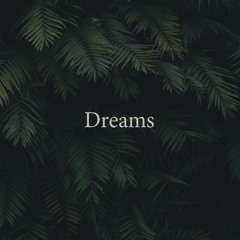 Tom Rosenthal - All Of Them Dreams (Connor Wood remix)