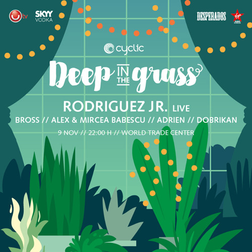Dobrikan @ Deep In The Grass; Pullman WTC; Bucharest