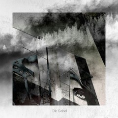 Die Geisel - Wüstenblume