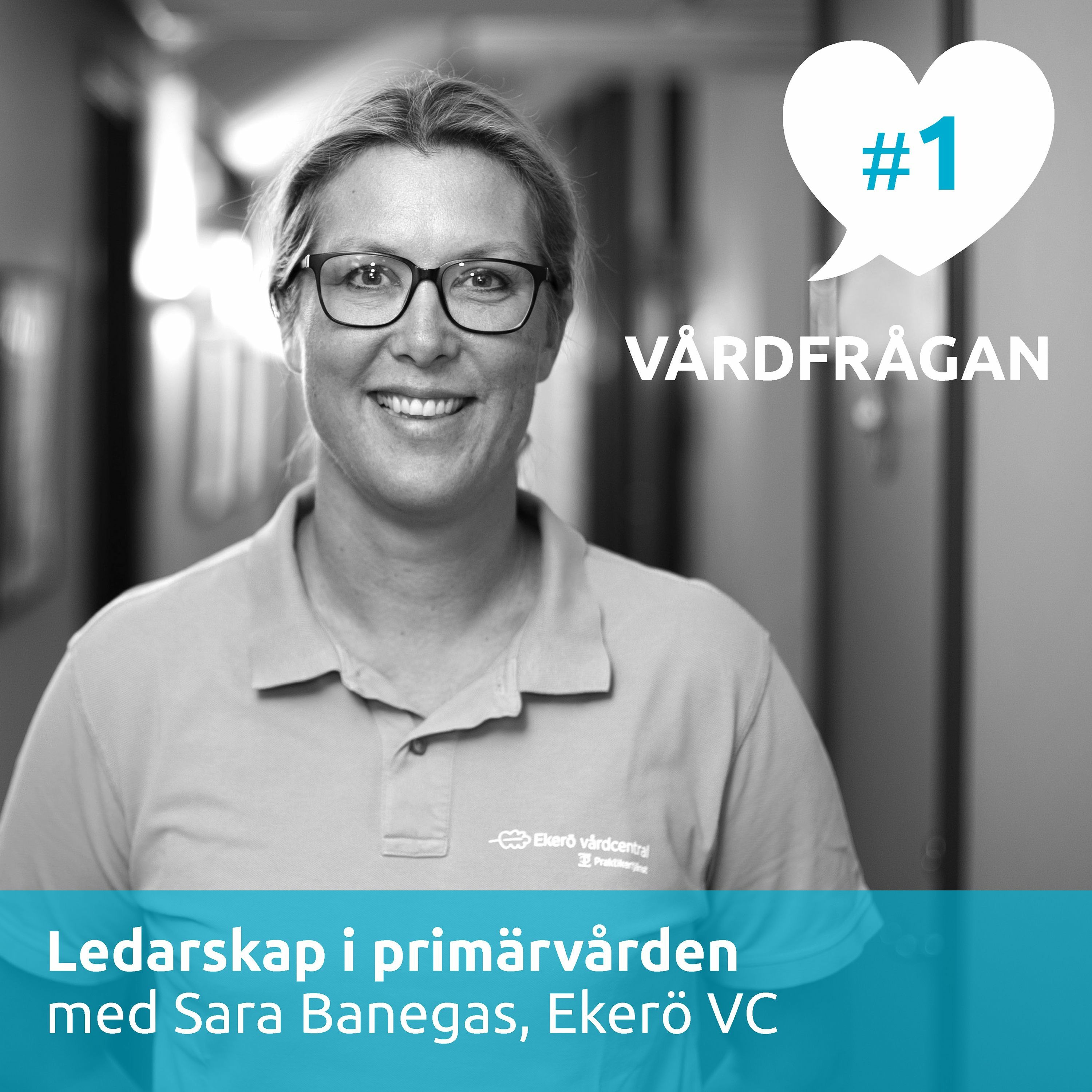 Vårdfrågan
