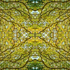 Supermodel (freestyle)