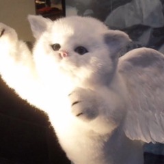 yo why ur mom on my index