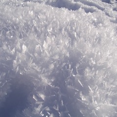 Ajan jouluksi kotiin