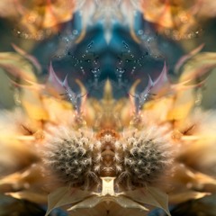 NEUTRON - Glitter Jitter (Preview)