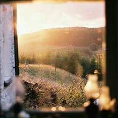 Arzu Görücü - Leyla 🍂