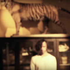 Conor Patrick - Ninja Star