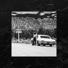 HIPPØ - MUSTANG