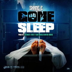 Shane E - Gone Sleep