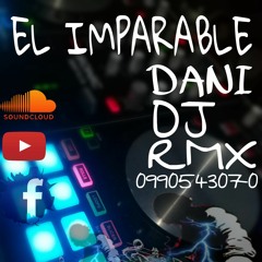 CHICHA ALA VENA / DANI DJ RMX