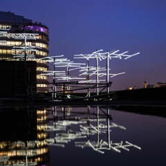 MICHELA BONZI- ANTENNA SUD