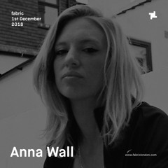 Anna Wall fabric x Collisions Promo Mix