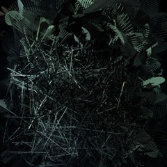 tr.app