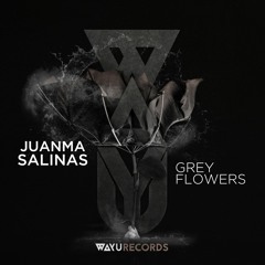 PREMIERE: Juanma Salinas - Green Lake (Original Mix) [WAYU Records]