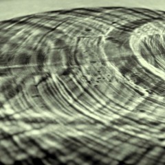 (In Search Of) Human Contact