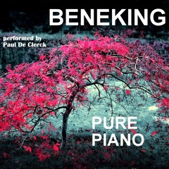 Stephan Beneking  -  Nocturnes for Isabella  -  No. 1 in D Minor