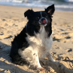 Trouble Prod. By Monty Sapphire